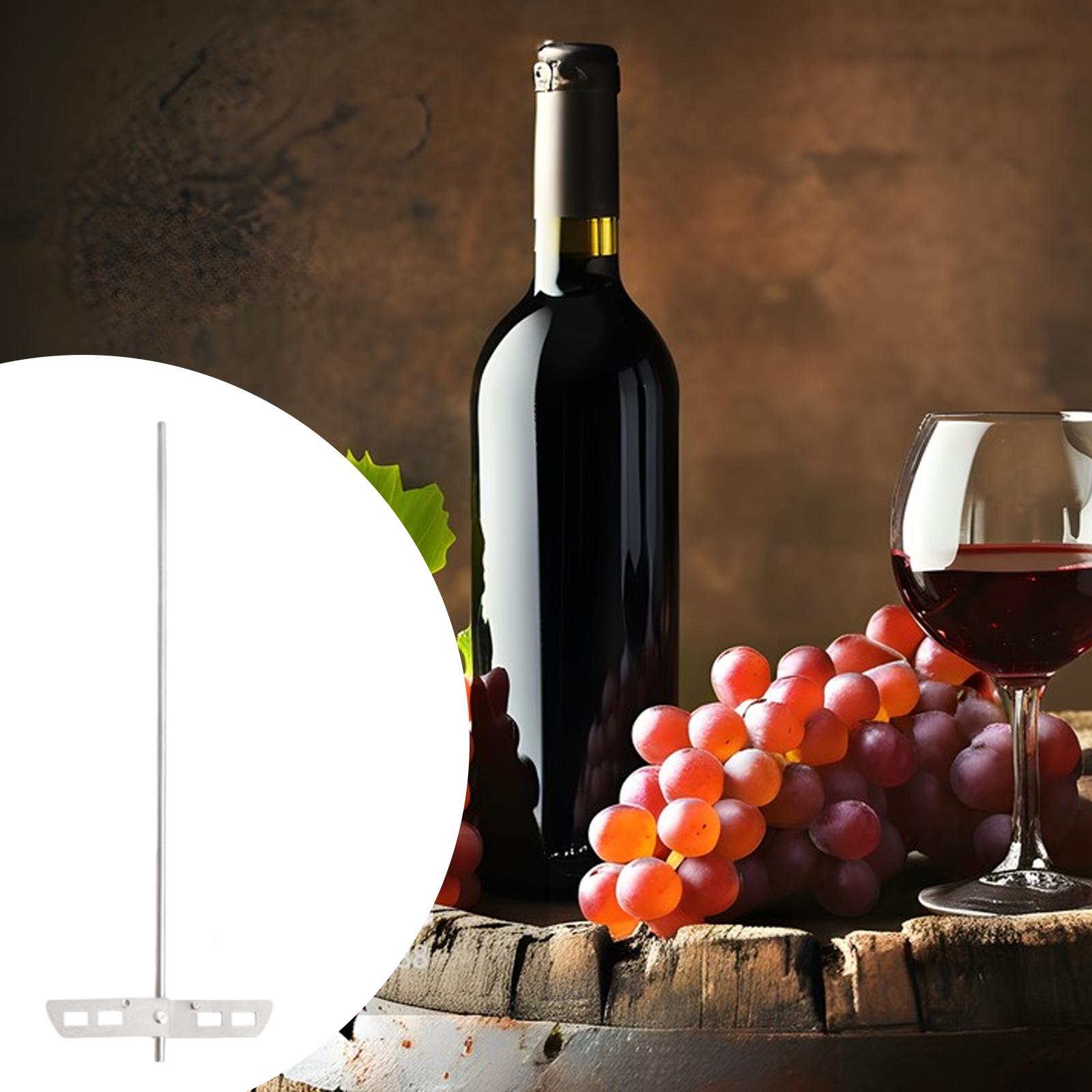 Wine Beer Mix - Yüksek Verimli Gaz Giderme Çırpıcı Paslanmaz